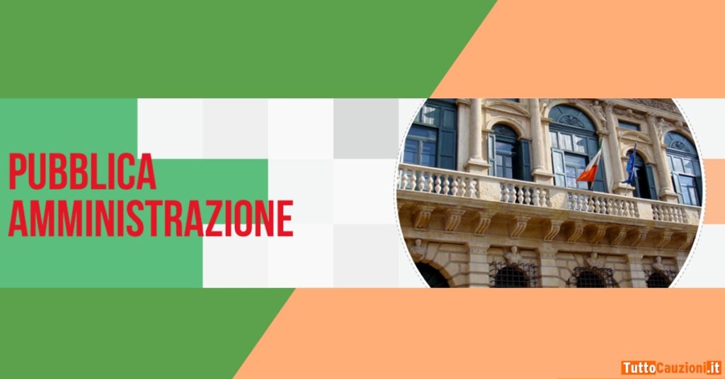 Grafica in cui appare l'immagine di un palazzo governativo e la scritta: "Pubblica Amministrazione".